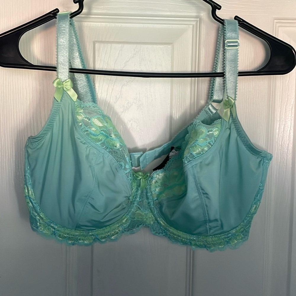 Adore Me size 36dd bra. Teal light blue color